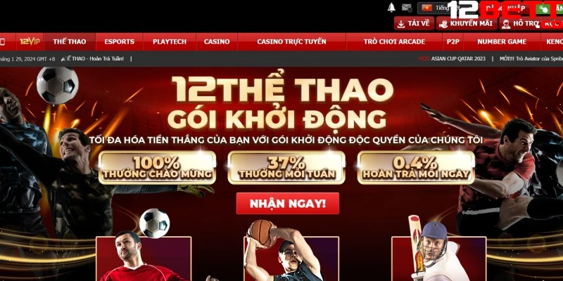 Bet thủ phải cung cấp thông tin chính xác cho nhà cái