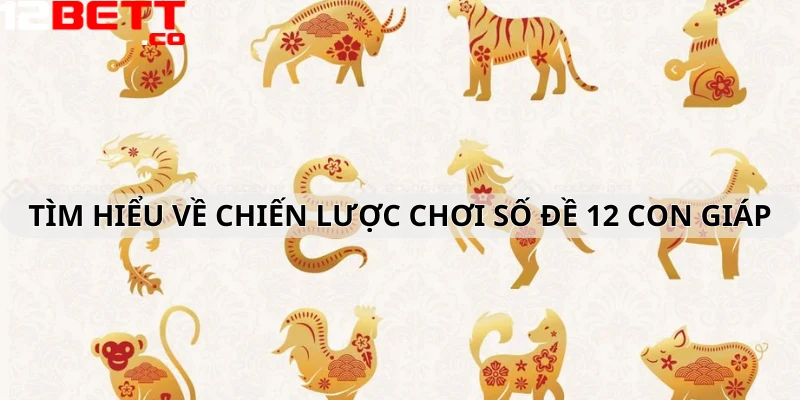 Tìm hiểu về chiến lược chơi theo số đề 12 con giáp